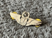 Przypinka - USAF - Master Remotely-Piloted Aircraft Pilot Badge (Mini-Size)