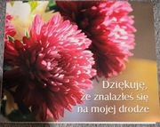 Dziękuję że znalazłeś się na mojej drodze miękka oprawa