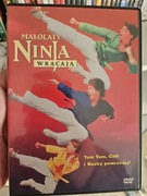 Małolaty Ninja wracają DVD film, stan idealny