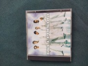 Płyta CD z muzyką Millenium Backstreet boys