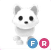 Arctic Fox FR - Adopt Me Roblox