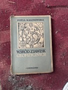 Zofia Kalinowska - Wśród zjawisk geograficznych