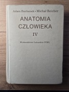 Bochenek - Anatomia człowieka tom IV
