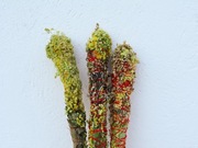 Kadzidło naturalne 3 sztuki Nawłoć i Bylica -  ochrona - odcięcie