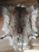 Oryginalna skóra z renifera Rovaniemi | Laponia | 120 cm | Gęsta