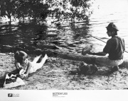 Plaża DANOWSKIE / UPUSTEK k.AUGUSTÓW B. FEDORCZYK fotografia fotos MOTYLE