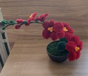 Storczyk handmade