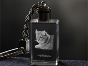 Highland Lynx brelok sześcienny Świecący