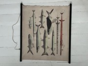 Obrazy na płótnie ryby