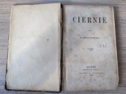 Książka Ciernie A. Józef Ostoja 1864