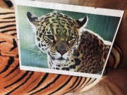 Obraz/Puzzle w szklanej antyramie