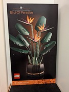 Nowe LEGO Botanicals 10289- Strelicja Królewska, Kraków (Zabłocie)