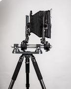 plaubel format 18x24