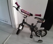 Rower Arkus Tola 12 D8 SZARY 