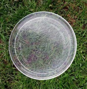 Talerz szklany do mikrofali