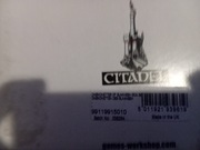 Daemonettes of Slaanesh WH40K 