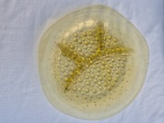 Kabaret na przystawki Asteroid