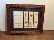 Ciekawy obrazek 6 różnych suszonych kwiatków drewniana ramka 