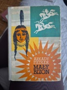 Arkady Fiedler Mały Bizon