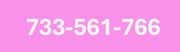 733-561-766 ZŁOTY NUMER STARTER PLAY NA KARTĘ PREPAID