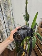 Canon EOS 2000D – zestaw z obiektywami 18–55 i 18–105