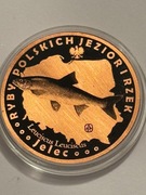 Ryba jelec. Miedź fi 32 mm. 2013 Gyges