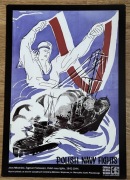 Polish Navy Fights - reprint