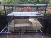 Duża klatka Inter-Zoo Hugo 80 cm -gryzonie koszatniczki świnki morskie