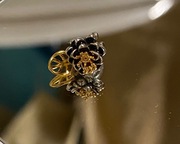 Charms najpiękniejsze kamelia z liściem monstery S925