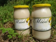 Miód Rzepakowy z mojej pasieki 900 mil Miodobranie 2025