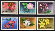 2067 - 2074 Kwiaty krzewów (kompletna seria)