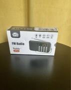 FM Radio Raddy RF23 mini przenośne