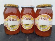 Miód Lipowy Duży słoik