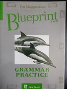 OKAZJA Blueprint Two Grammar Practice jak NOWA czysta  English PROMOCJA 