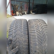 225/55/18r 102H  SP Dunlop Winter Sport 4D