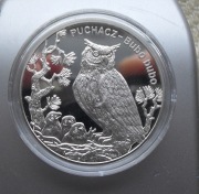 20 zł. Puchacz 2005 r.