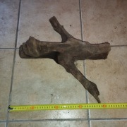 15... KORZEŃ DO AKWARIUM  