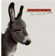 Elektryczne Gitary Nic Mnie Nie Rusza