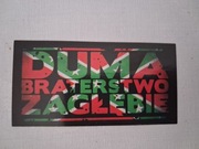 Vlepki Zagłębie Sosnowiec #25