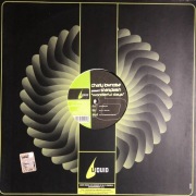 Charly Lownoise & Mental Theo pres Starsplash – Wonderful Days 2001 [Winyl]