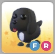 Adopt me Royal Palace Spaniel FR Roblox