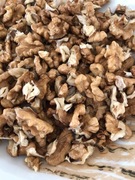 Orezchy włoskie ekologiczne