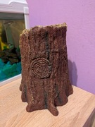 Nawilżacz powietrza do terrarium