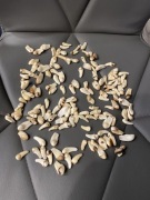 Grandle z jelenia 100 szt