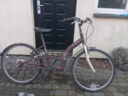 Rower damka dla kobiety 