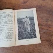 Królowa Niebios Legendy o Matce Boskiej 1913 r.