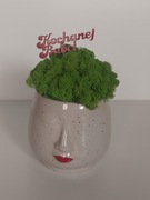 Doniczka mech CHROBOTEK, Dzień Babci i Dziadka 