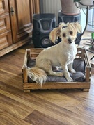 Drewniane legowisko dla psa lub kota z poduszką – handmade, naturalne drewn