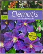 Clematis i inne pnącza ogrodowe