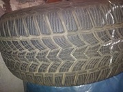 Opony zimowe dębica